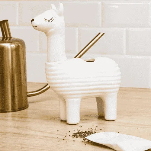 Llama Mágica